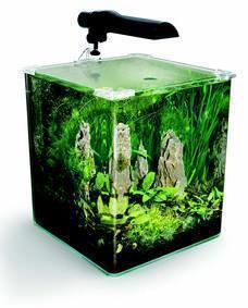 Askoll Fluval Flora.
